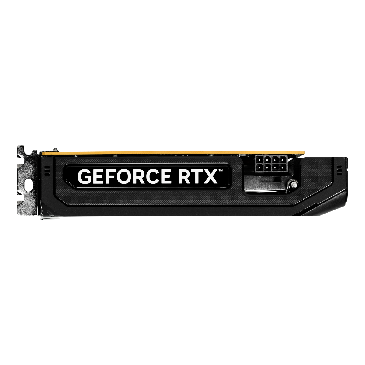 Gainward GeForce RTX 5050 Pegasus 8GB - Grafikkort