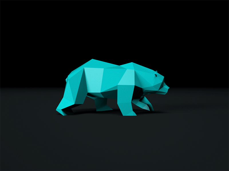 Polygon bear